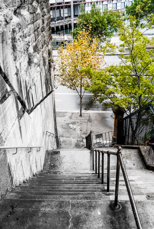 Down the Old Steps - Edition of 12