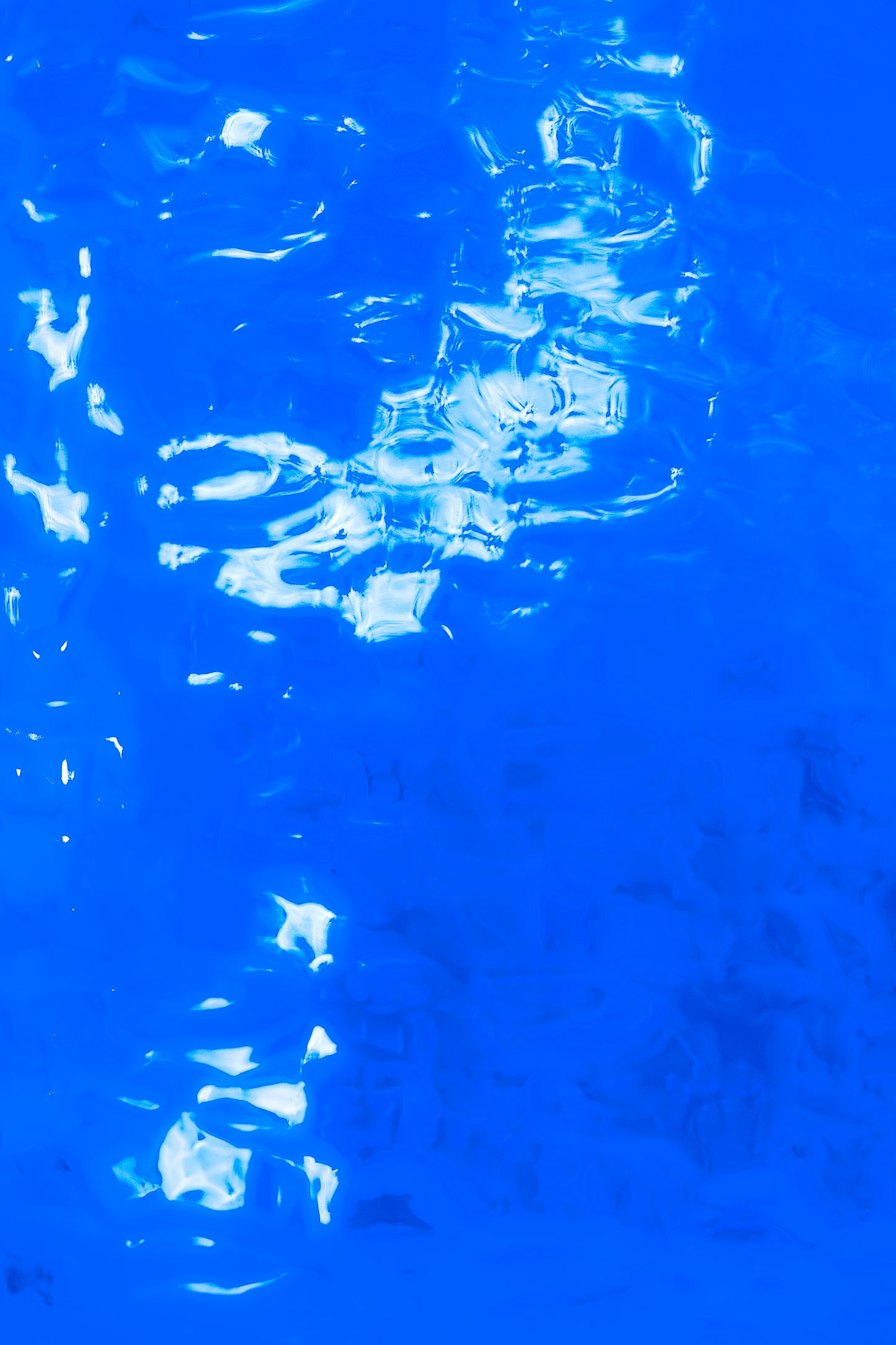 Reflections in Motion - Edition of 3