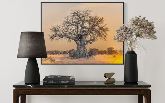 The Baobab - Edition of 12